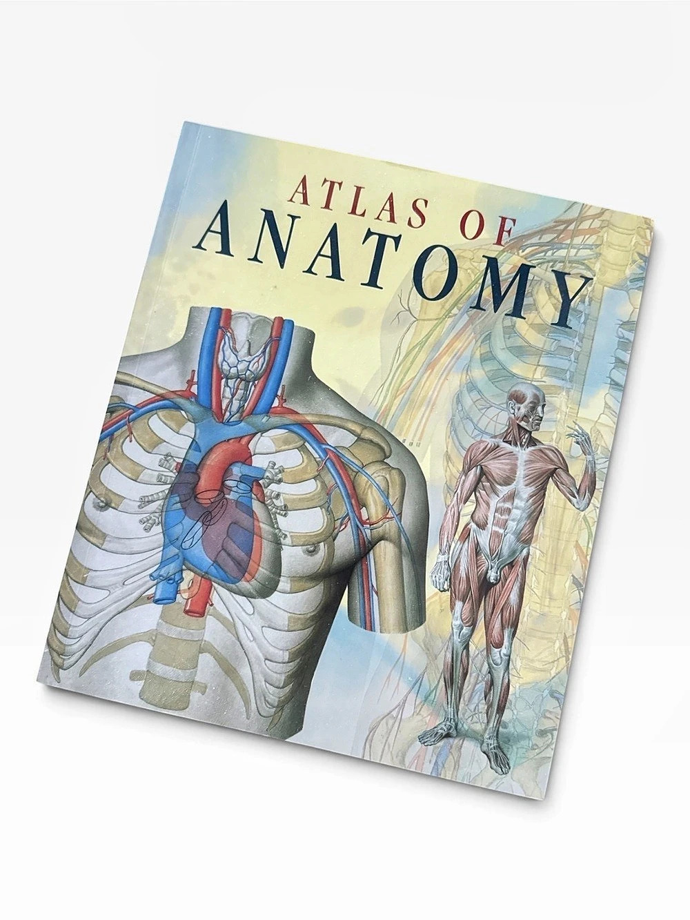 Taj Books Atlas of Anatomy Illustrated Anatomy Reference Book